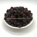 Hot Sale Golden Raisin Red Raisin Green Raisin Natural Taste